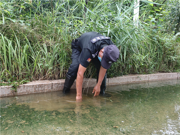 风雨来袭 hjc黄金城物业按时赴约…